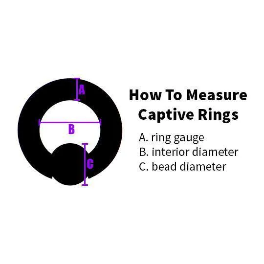 Body Circle Designs 12g Captive Bead Ring by Body Circle Designs Rings