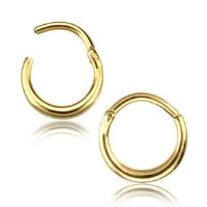 Tulsa Body Jewelry Rings Forged Hinged Segment Ring
